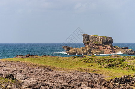 马提尼克岛的施用物大草原干旱海岸沙漠海滩旅游海岸线旅行桌子石化图片