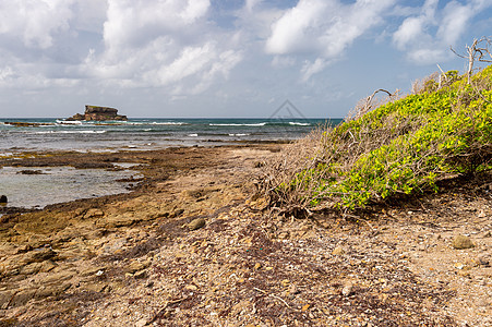 马提尼克岛的施用物旅游海岸线沙漠海岸旅行石化岩石半岛海滩干旱背景图片