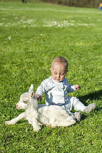 男孩宝宝和山羊 在春日一起玩农村幸福场地哺乳动物村庄婴儿农业农场动物乐趣图片