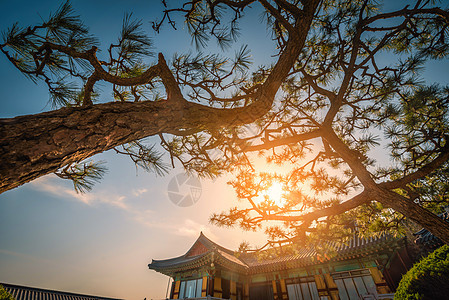 南韩釜山日落时寺庙悬崖村庄天空云台墙纸海滩公园爬坡地标游客图片