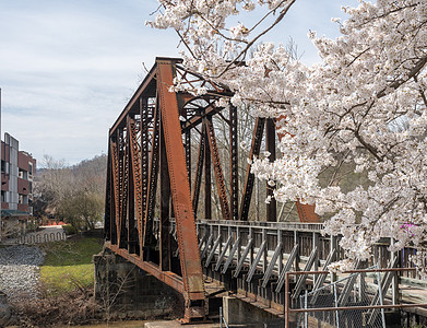 钢铁螺旋桥在德克斯溪摩根镇上 骑着自行车行走的足迹铁路阳光樱花建筑步道街道自行车道市中心晴天校园图片