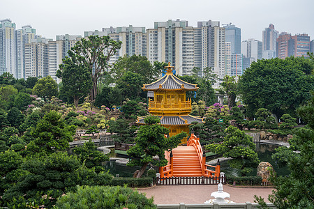 香港钻石山地区的南连园花园城市园林公共公园宗教佛教徒植物公园图片