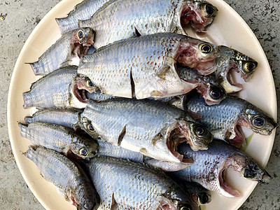 盘子里的淡水鱼海洋烹饪销售餐厅海鲜低音美食鲭鱼打扫鳟鱼图片