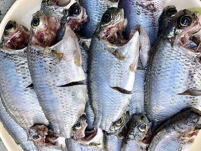 盘子里的淡水鱼海洋动物低音餐厅营养鲭鱼打扫海鲜钓鱼美食图片