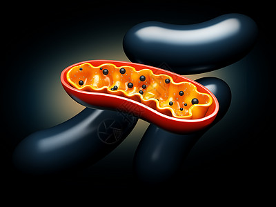 33d 出品  红背景的实事求是插图卫生损害解剖学微生物学药品活力3d溶酶体基因组图表图片
