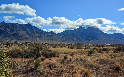 新的墨西哥沙漠地貌 背景中的高山山脉沙漠全景岩石山脉荒野旅行风景天空生长干旱图片