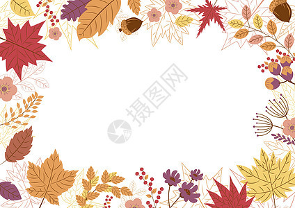白色背景矢量图上的秋叶设计艺术叶子横幅季节橡木卡片紫色感恩插图橡子图片