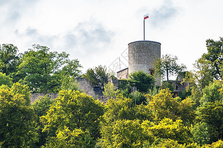 德国Nagold城堡的废墟图片