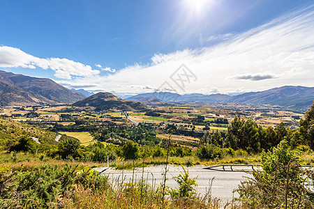 新西兰南部的风景图案植物绿色旅行乡村情绪植物群森林天空蓝色公园图片
