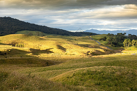 新西兰典型的农村地貌情况树木天空蓝色植物风景旅行旅游乡村自由绿色图片