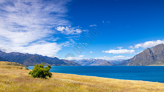 户外旅行Wanaka湖新西兰南部岛屿旅游蓝色天空草地风景旅行反射海岸晴天天线背景