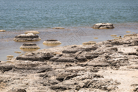 西澳大利亚西澳大利亚州塞提斯湖吸引力旅游地质学天空海岸编队生物化石活化石石灰石图片