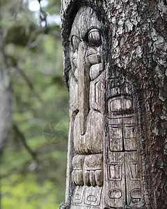 美国阿拉斯加州山顶的一条小道上 由土著Tlingit印地安人雕刻的木图腾北极图片