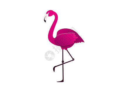 矢量图粉红色的火烈鸟 异国情调的鸟 很酷的火烈鸟装饰平面设计元素 可爱火红背景图片
