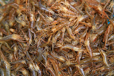 泰国市场新鲜的小河虾图片