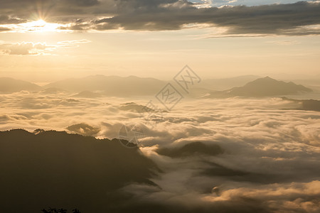 清格雷平原的泰国美丽青蛙森林灰色季节薄雾爬坡荒野风景远足图片