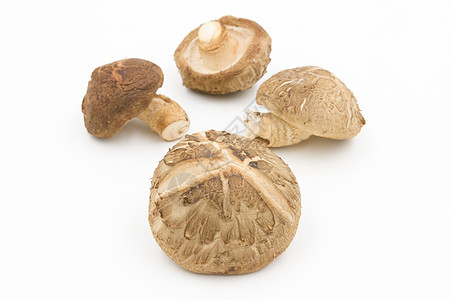 白色背景的芝麻蘑菇美食草药团体营养香料食物药品烹饪蔬菜菌类图片