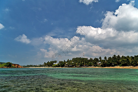 斯里兰卡海滩天蓝色岩石假期支撑阳光太阳鹦鹉海浪棕榈日落图片