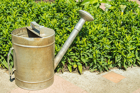 花园 户外的古老金属水罐 其背景是花卉花园 日间夏日日园艺植物学院子阳光植物生长公园晴天花坛爱好图片