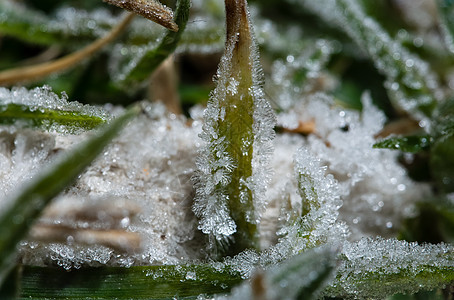 冰在草地的顶端水晶背景图片