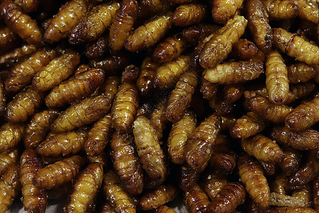 在泰国街头低脂肪食品和许多亚洲国家中 昆虫Fried Crispy丝虫 流行的昆虫零食 廉价高蛋白质市场异国情调热带产品幼虫油炸图片