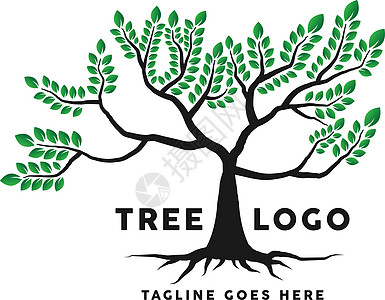 树根标志设计灵感学习叶子朋友智慧孩子们地球树干单元生物环境图片