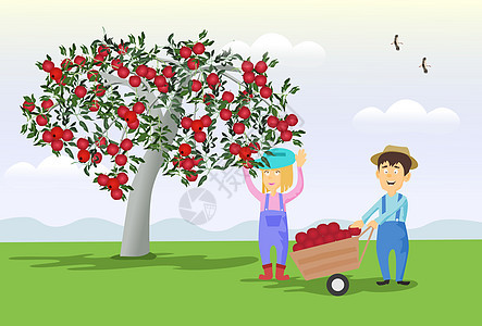 男性和女性园丁正在从树上收集苹果到手推车 以高山和天空为背景图片