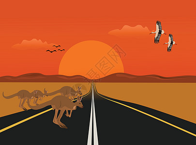 袋鼠在以高山和夕阳为背景的沙漠长路上奔跑图片