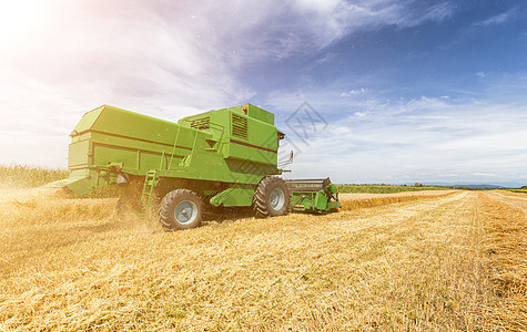 集成收割农机 收获黄金成熟的WHE生产谷物种子农场国家场景农村食物场地机械图片