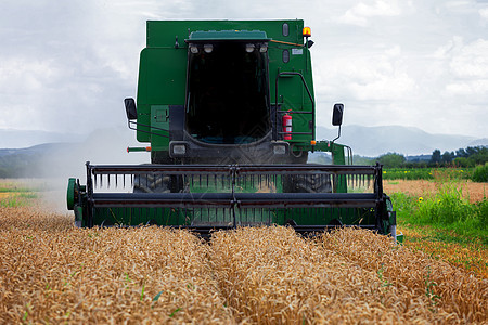 在小麦田上操作的合并收割器 收割为 Pr玉米谷物收成拖拉机场地粮食农场收割机收获农业图片