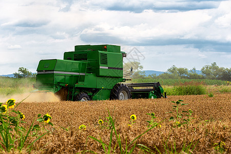 在小麦田上操作的合并收割器 收割为 Pr土地粮食农村食物机器拖拉机工作种子生产农场图片