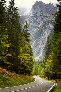秋天与Bauti在Dolomites的长途公路山口旅游草地国家山路森林场景运输环境自然爬坡图片