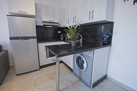 洗衣机豪华公寓的现代厨房设计图排气扇抽油烟机橱柜门早餐器具门把手金属植物地面展示厅背景