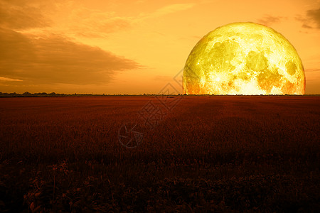 月半小夜曲红色野外夜空天空的超级半血月背景