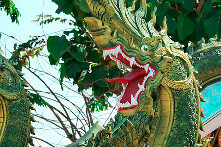 泰文化艺术 土科艺术 绿色长廊艺术天空雕塑旅游楼梯蓝色佛教徒建筑学寺庙宗教金子图片