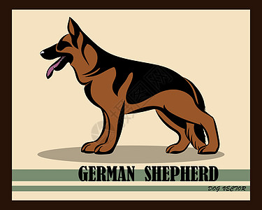 德国牧羊犬颜色矢量 eps 1图片