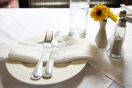 花花的表格设置桌子餐巾餐厅盘子食物奢华环境午餐餐具派对图片