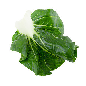 白色背景中孤立的生菜叶长叶叶子工作室绿色沙拉外邦食物莴苣植物蔬菜图片