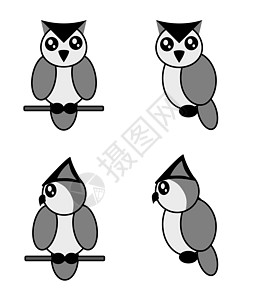 白色背景上的四只可爱猫头鹰圆圈艺术绘画翅膀卡通片乐趣野生动物眼睛婴儿漫画图片