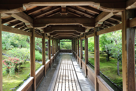 日本神庙木头与日本花园京都J寺一起行走季节宗教文化旅游曲线人行道地标神道风景花园图片