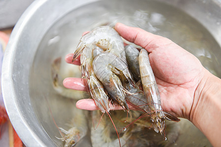 虾虾 - 手头新鲜虾 用于烹饪海产食品图片