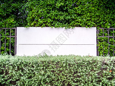 自然花园中带墙草的围栏混凝土建筑装饰水泥风格框架栅栏叶子场地城市材料图片