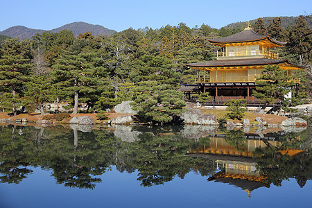 日本京都金宫寺庙金殿亭子反射建筑学花园公园佛教徒建筑地标观光池塘图片