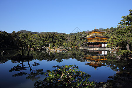 日本京都金宫寺庙金殿观光旅行公园旅游寺庙亭子神社游客建筑学建筑图片