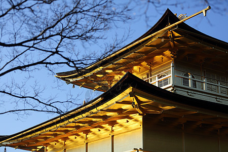 日本京都金宫寺庙金殿亭子文化季节遗产观光神社公园池塘宗教地标图片