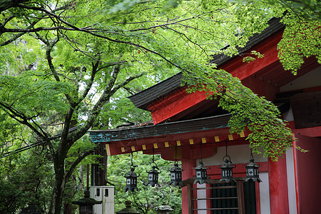 奈拉市的日本寺庙宗教旅行秩父神道文化吸引力佛教徒历史地标建筑图片