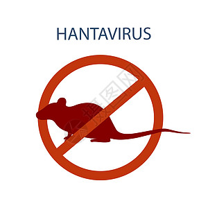 汉坦病毒 带有绿色汉坦病毒图标的大鼠或小鼠 无感染和停止汉坦病毒概念细菌发烧注意力拼贴画动物症状钩端水印生物学警告图片