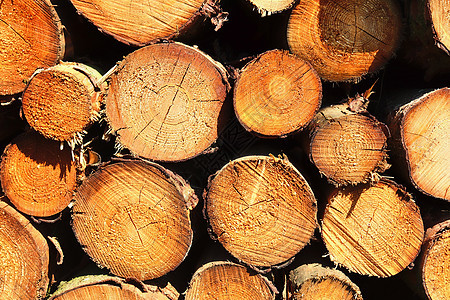 带年轮的堆叠木柴的详细特写纹理松树圆圈云杉棕色树干风化日志桦木宏观森林图片