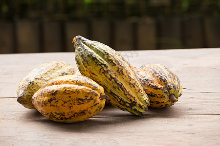 木制表面的可可豆和可可棚可可巧克力水果植物热带棕色食物木头红色背景图片