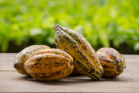 木制表面的可可豆和可可棚植物巧克力热带木头食物可可红色棕色水果背景图片